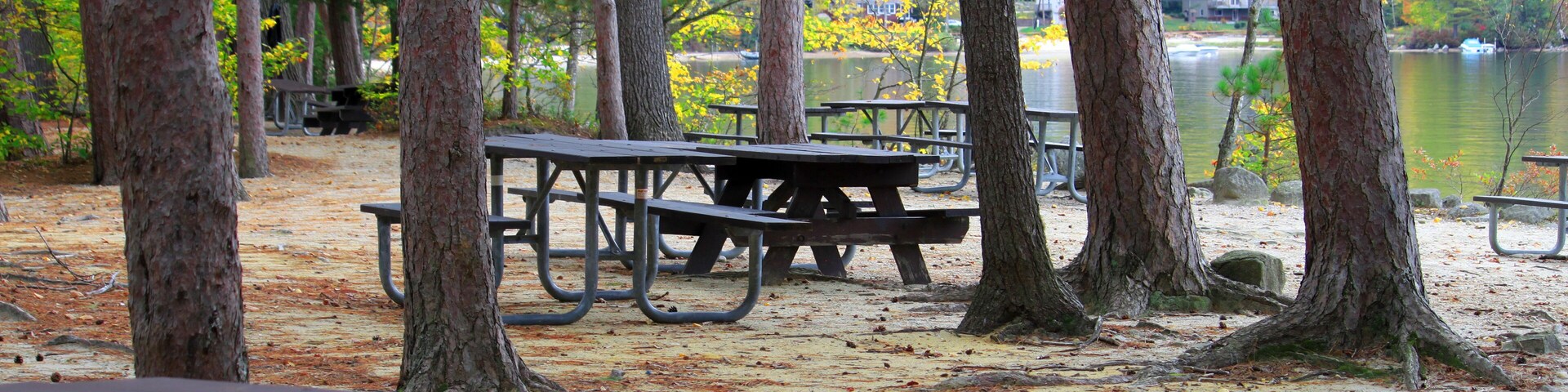 Wellington State Park