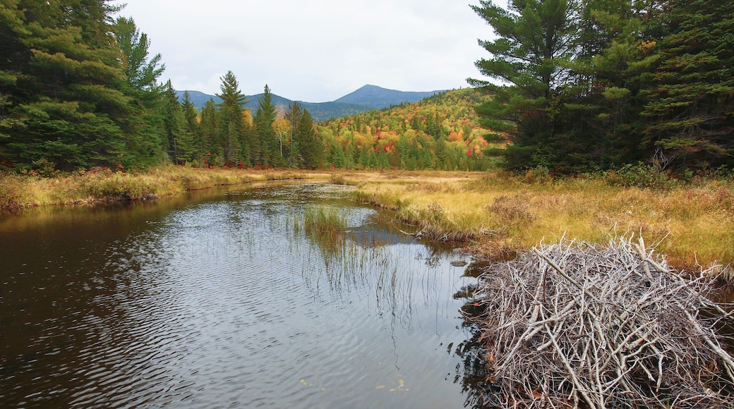 비버브룩 폴스 자연지역
