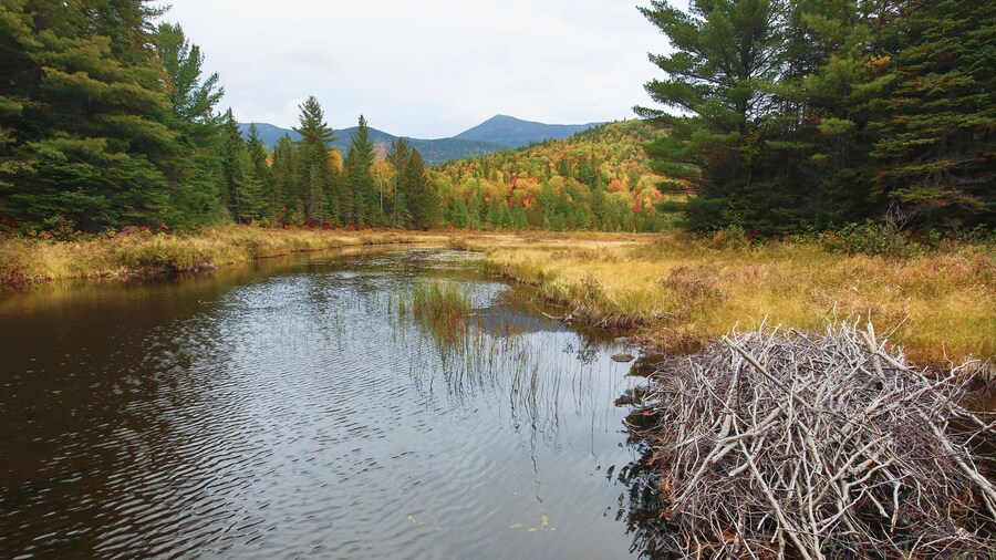 Àrea Natural de les Cascades del Rierol Beaver