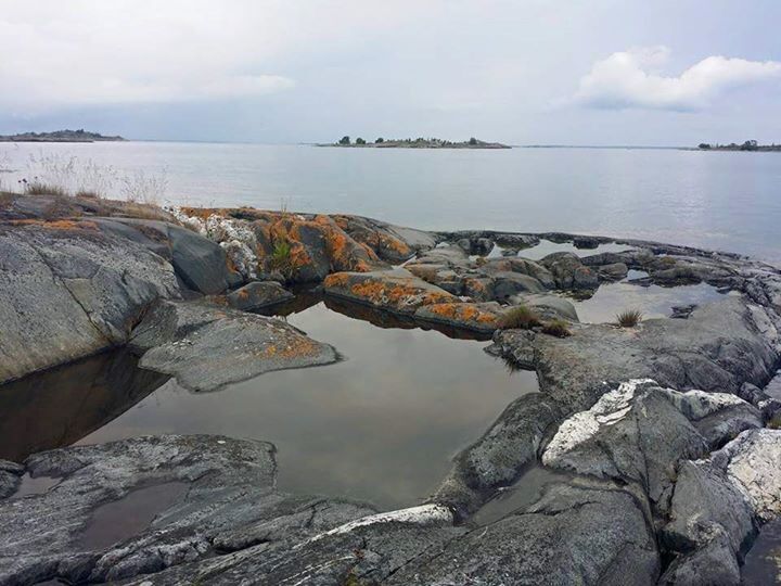 Only birds and cliffs. No human activity.