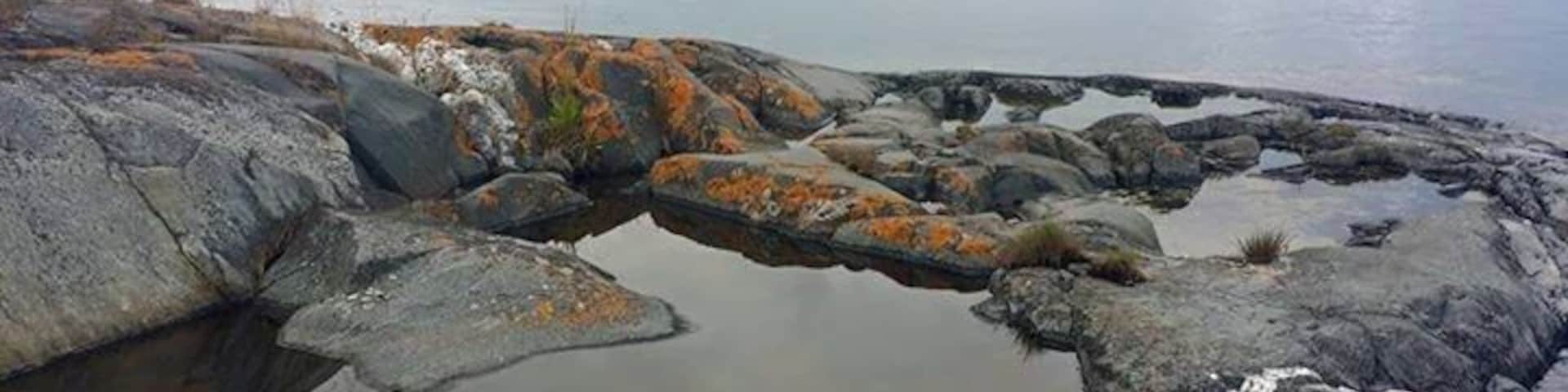 Only birds and cliffs. No human activity.