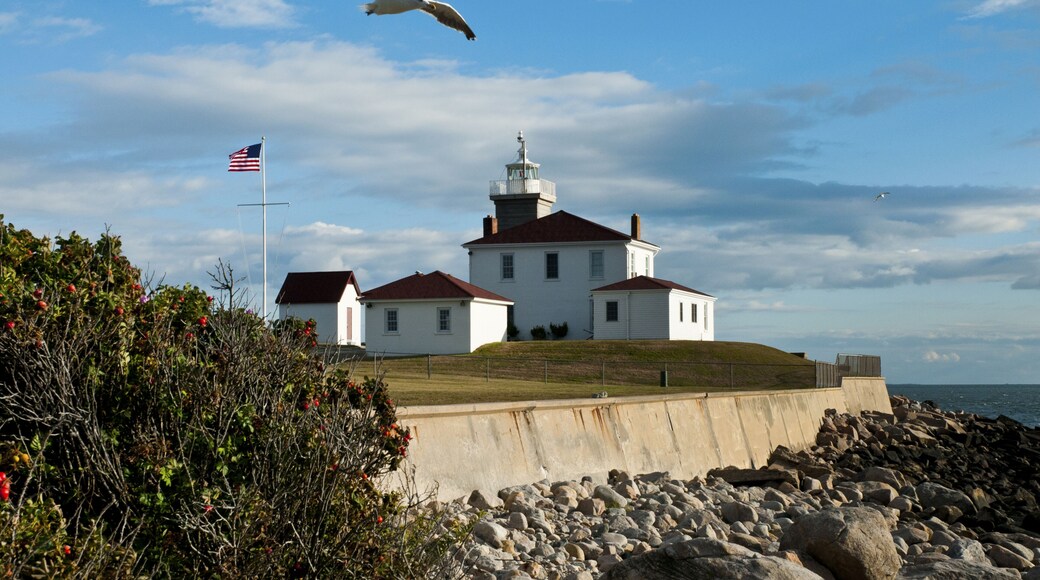 Seagull flies over Watch Hill lighthouse at low tide in early evening in summer, in Rhode Island.