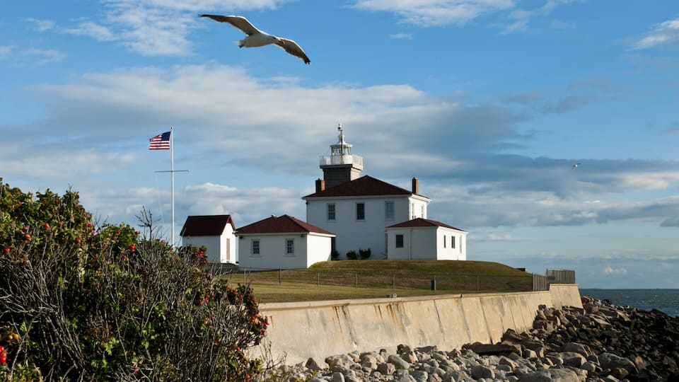 A lighthouse with a red roof, a flag, and a seagull flying nearby.