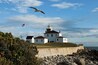 A lighthouse with a red roof, a flag, and a seagull flying nearby.