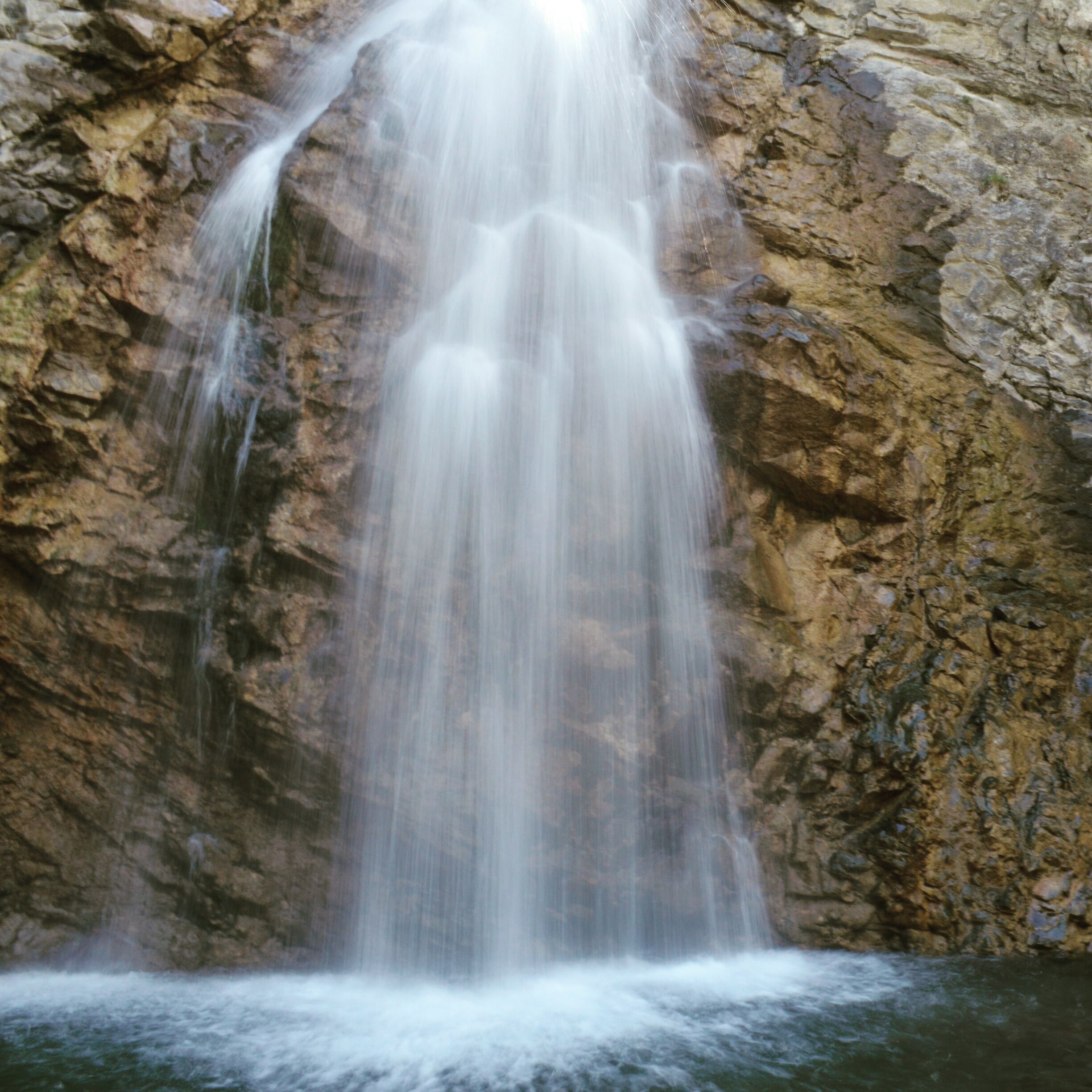 In nature, its quite easy to find beauty in simplicity. 