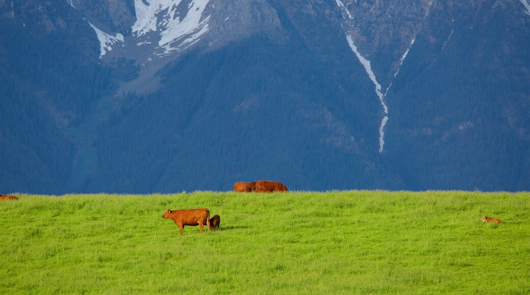 Fort Steele Heritage Town showing mountains, land animals and tranquil scenes