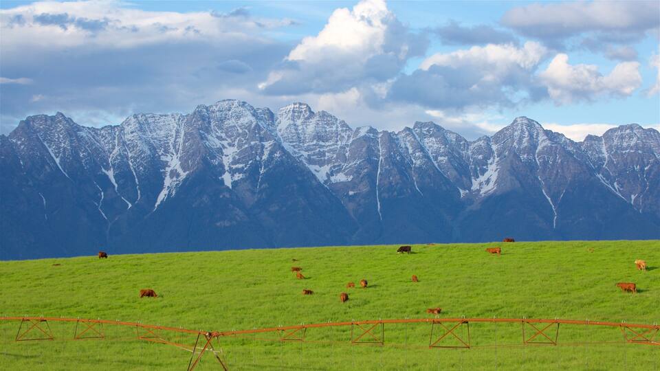 A green field with cows and a mountain range in the background.