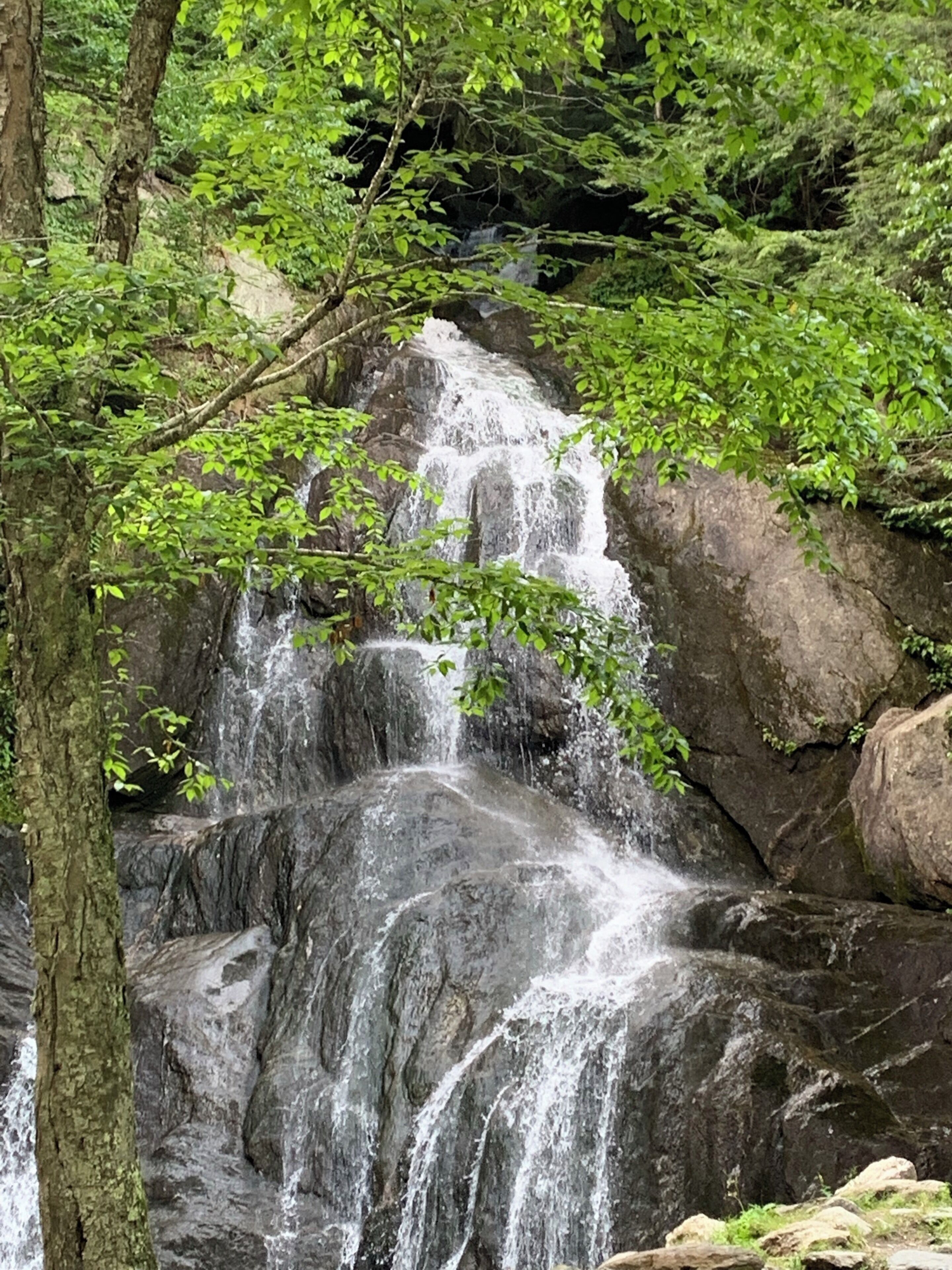 Roadside waterfall-RT 100 Granville VT