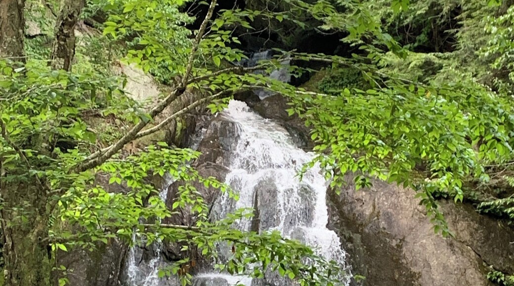 Roadside waterfall-RT 100 Granville VT