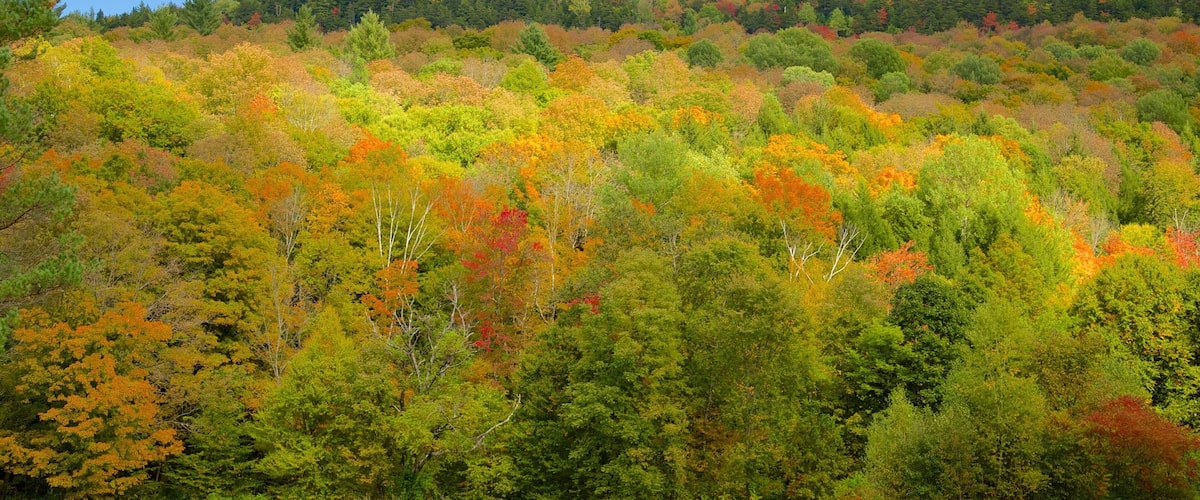 Granville featuring landscape views and forests