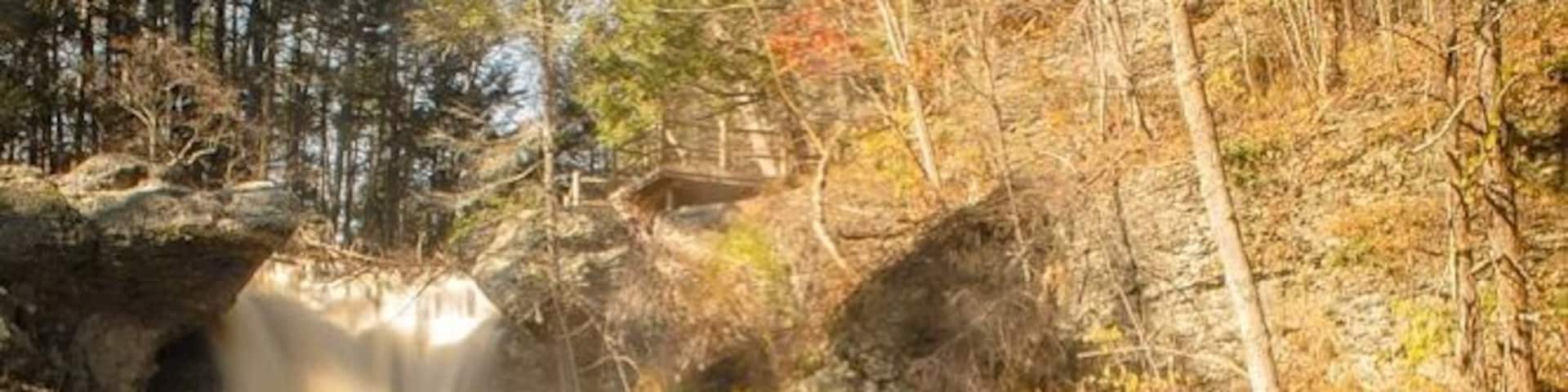 From my hike yesterday