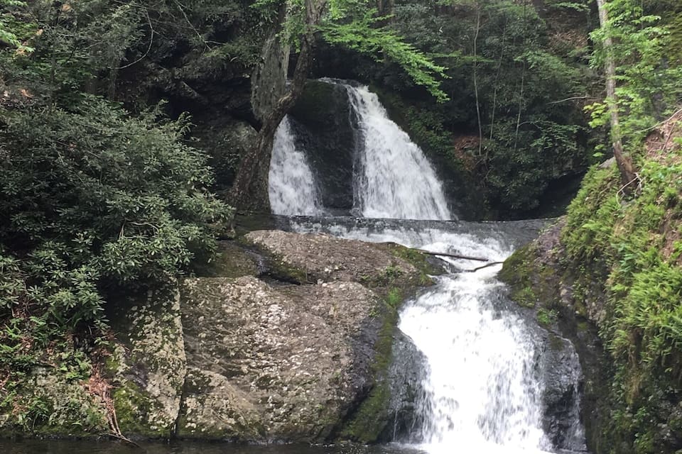 A waterfall cascading over rocks in a forested area.