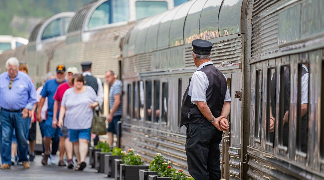 Branson\'s Scenic Railway