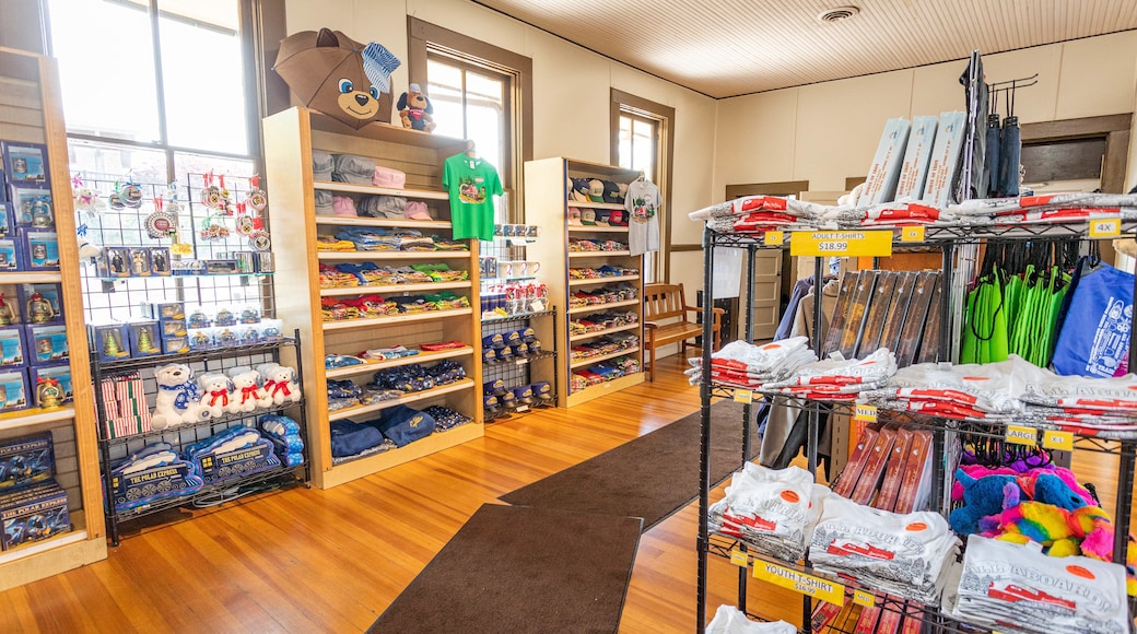 Branson\'s Scenic Railway