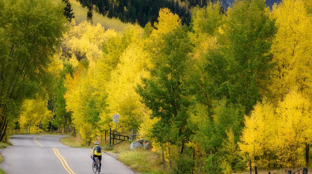 Trail Town Still 釀酒廠