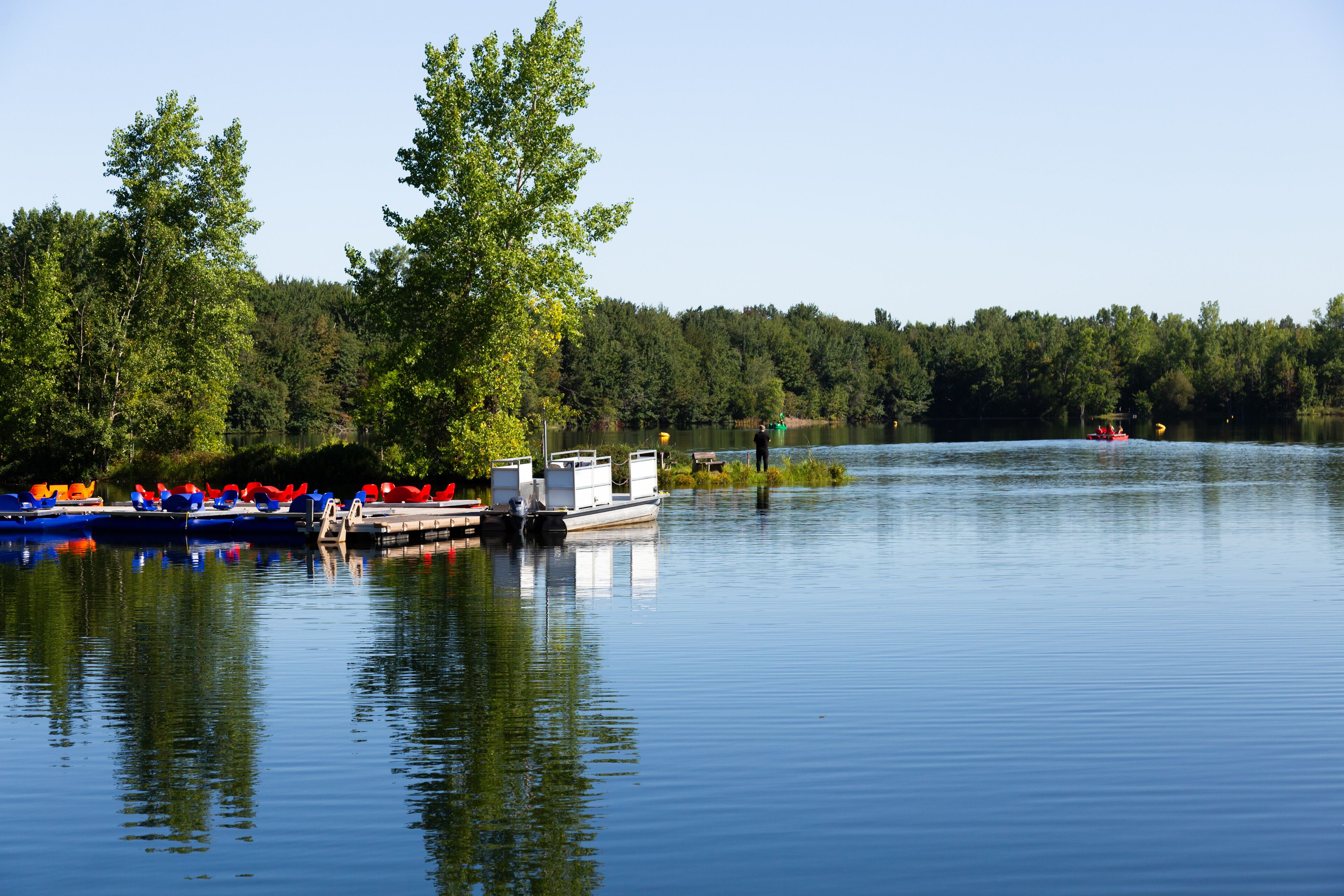 A calm lake with boats docked on the left, surrounded by dense forest.