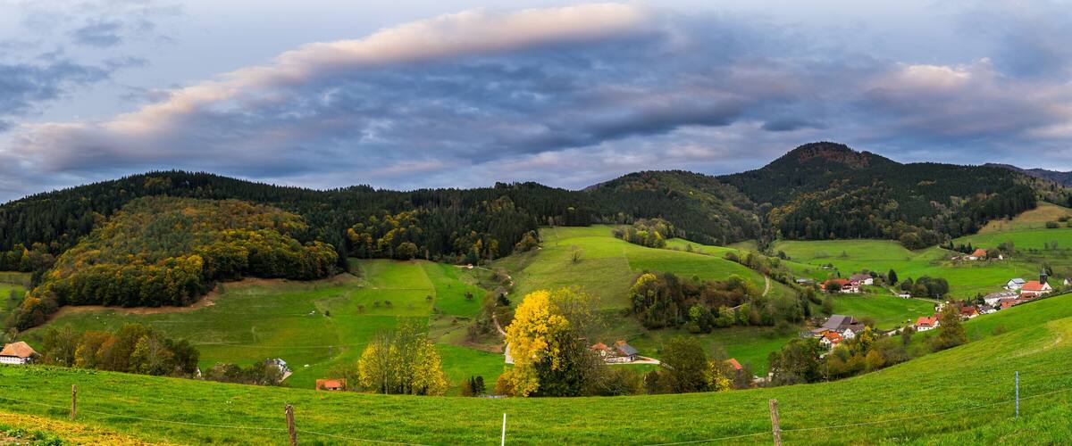 A lush green valley with rolling hills, scattered trees, and a small village with red-roofed houses.