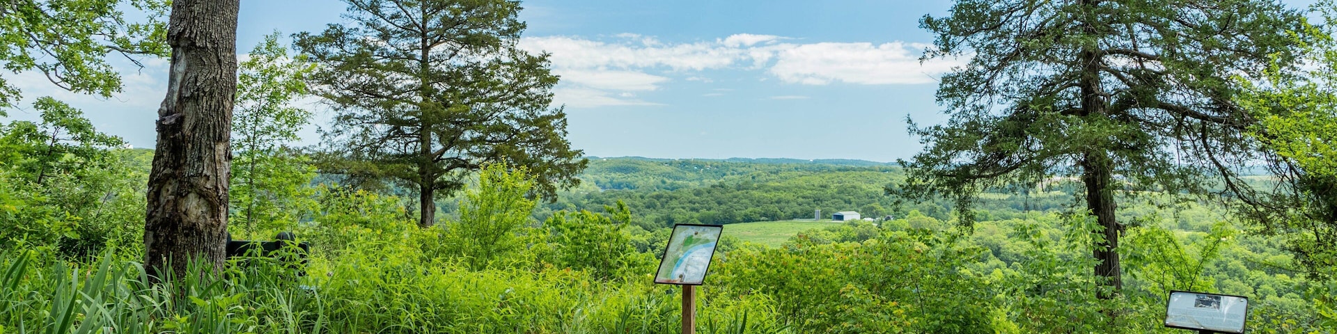 Lakeside Forest Wilderness Area which includes tranquil scenes and signage