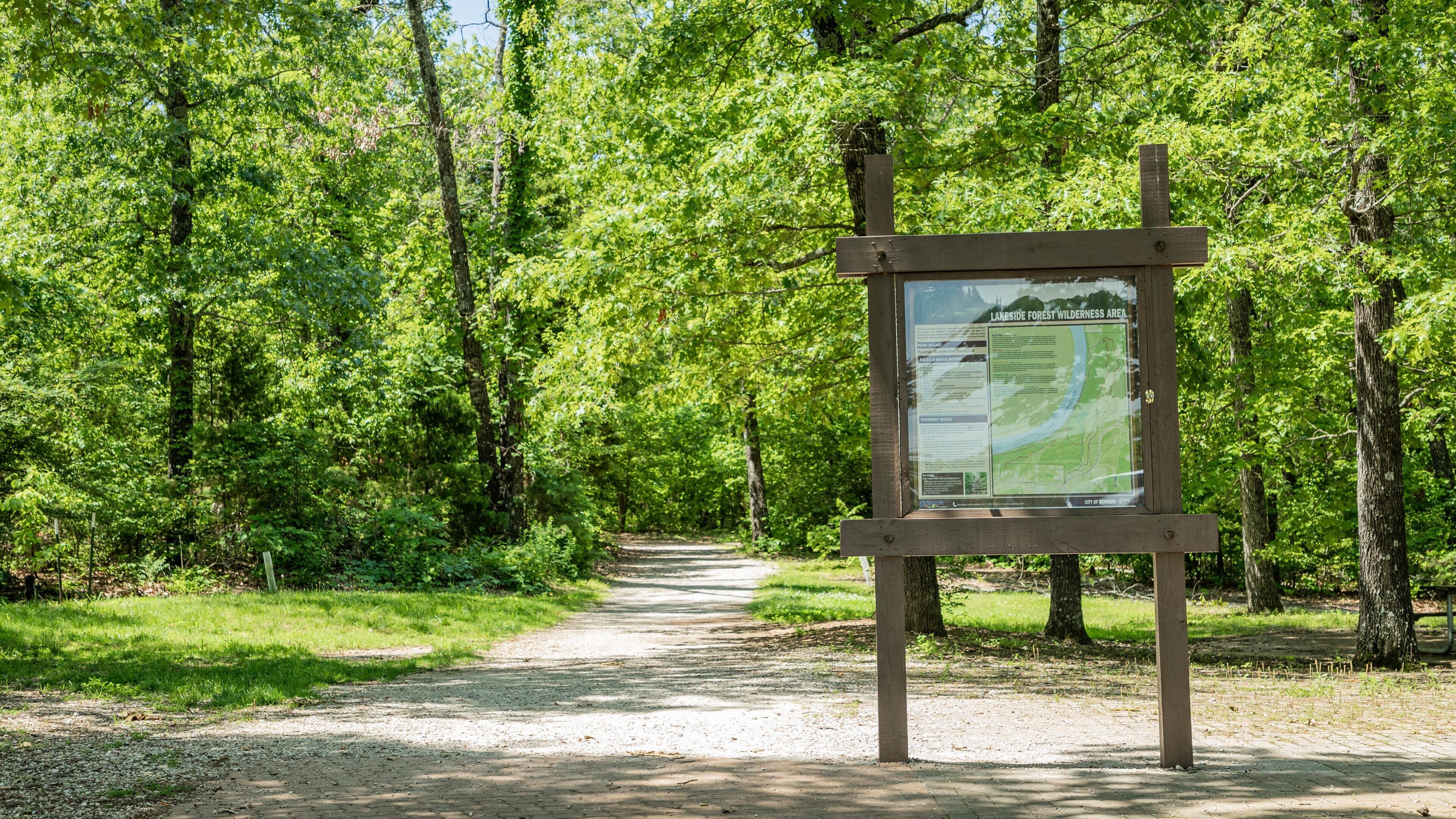 Lakeside Forest Wilderness Area