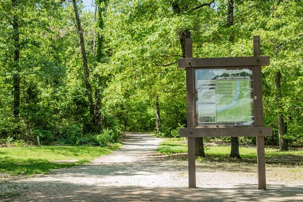 Lakeside Forest Wilderness Area
