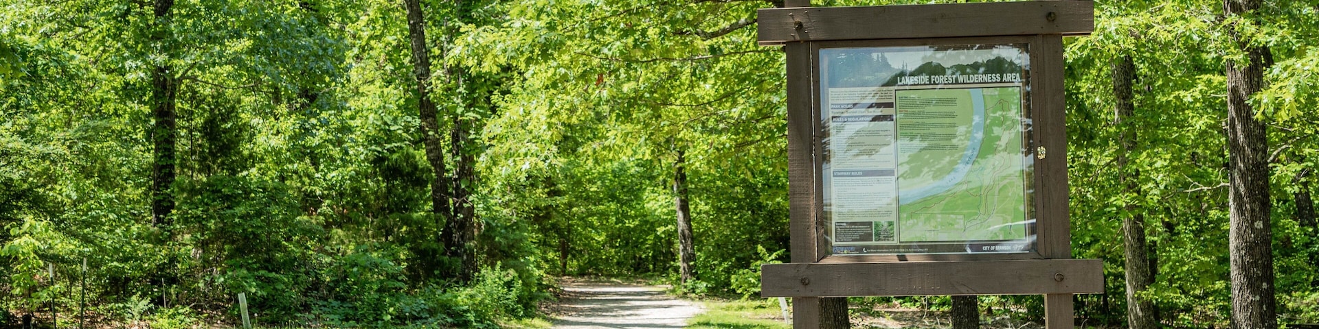 Lakeside Forest Wilderness Area