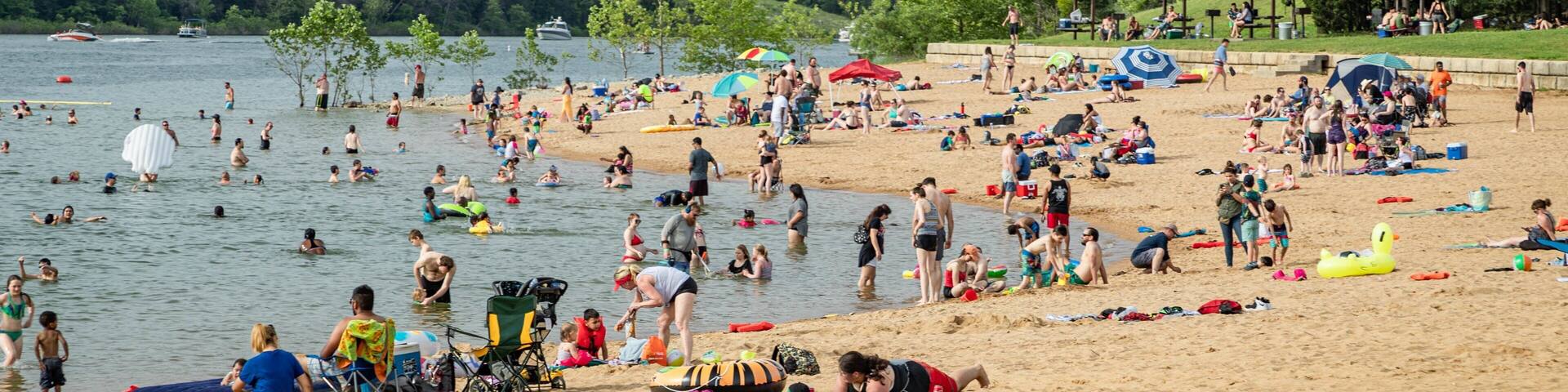 Moonshine Beach which includes swimming, a sandy beach and general coastal views