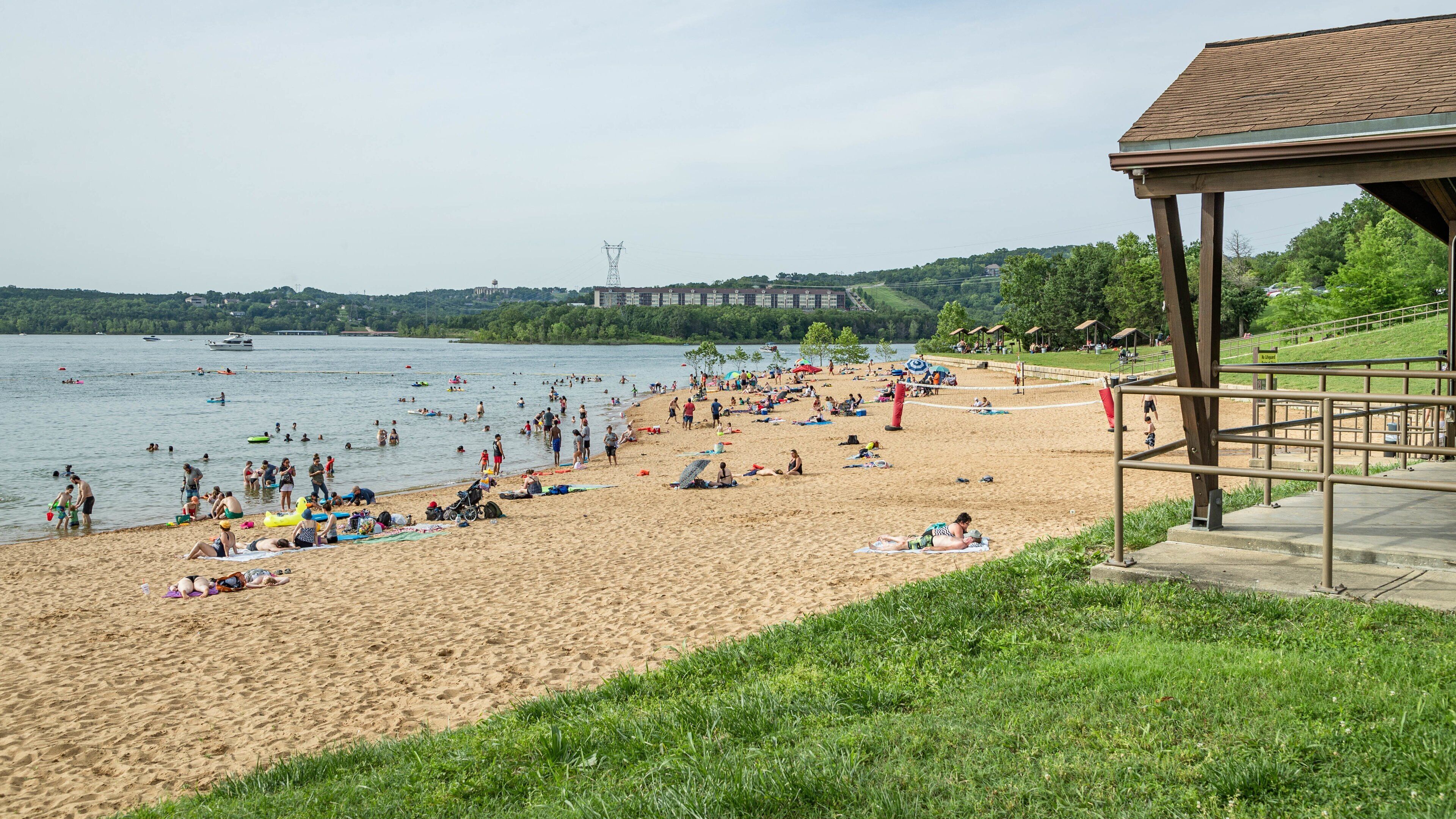 Moonshine Beach featuring general coastal views and a sandy beach as well as a large group of people