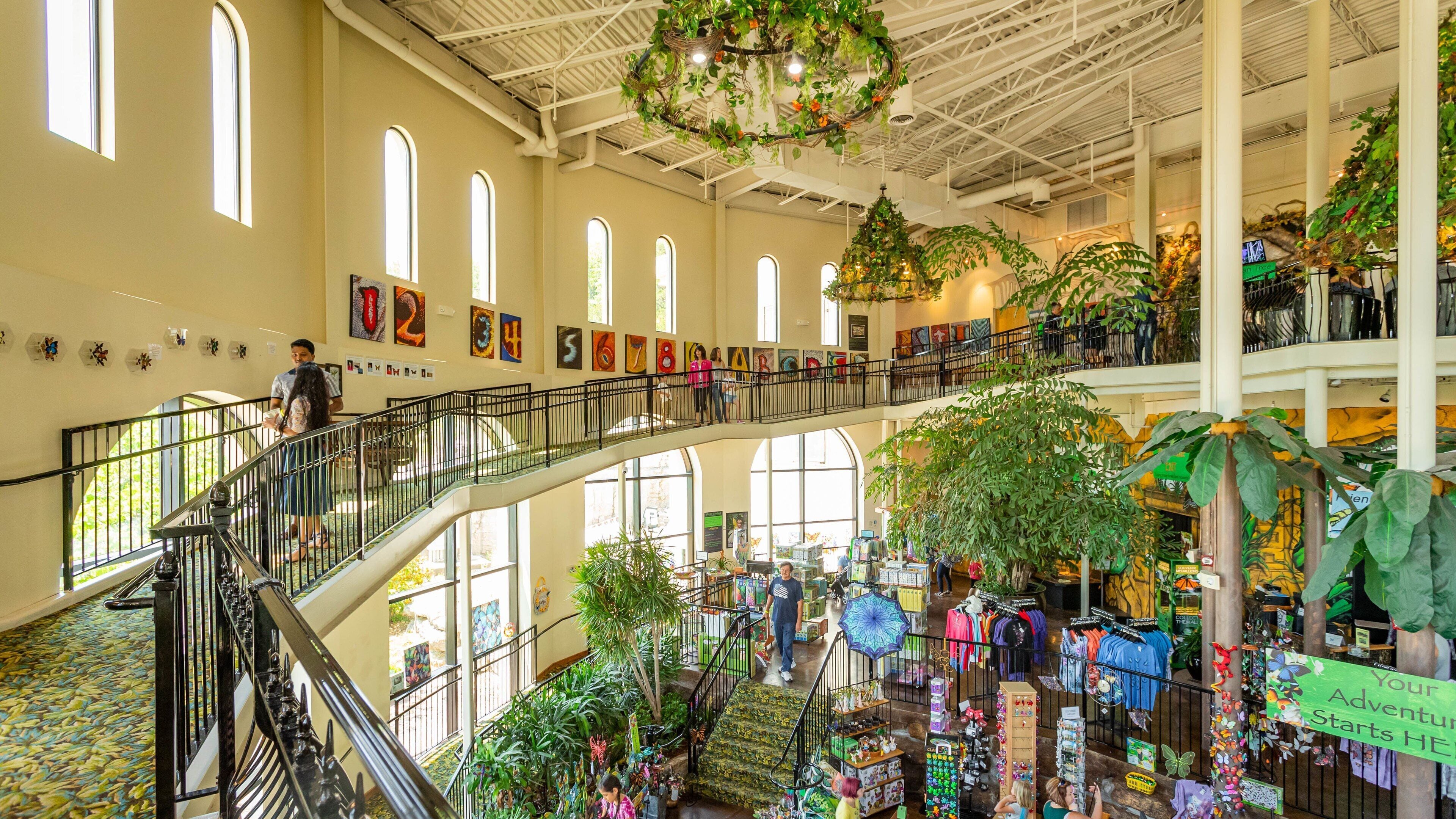 The Butterfly Palace which includes interior views