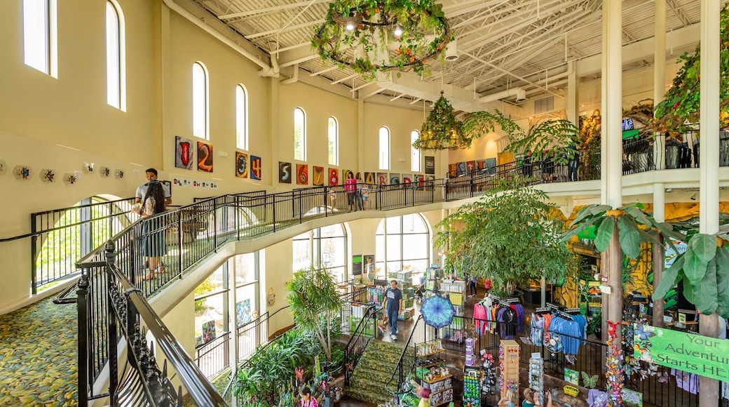 The Butterfly Palace which includes interior views