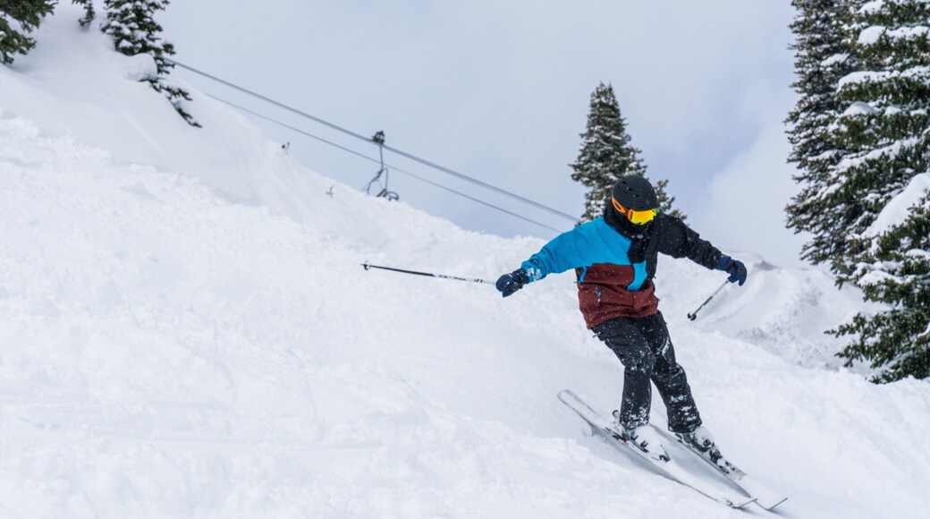 Sunshine dobbelskiheis