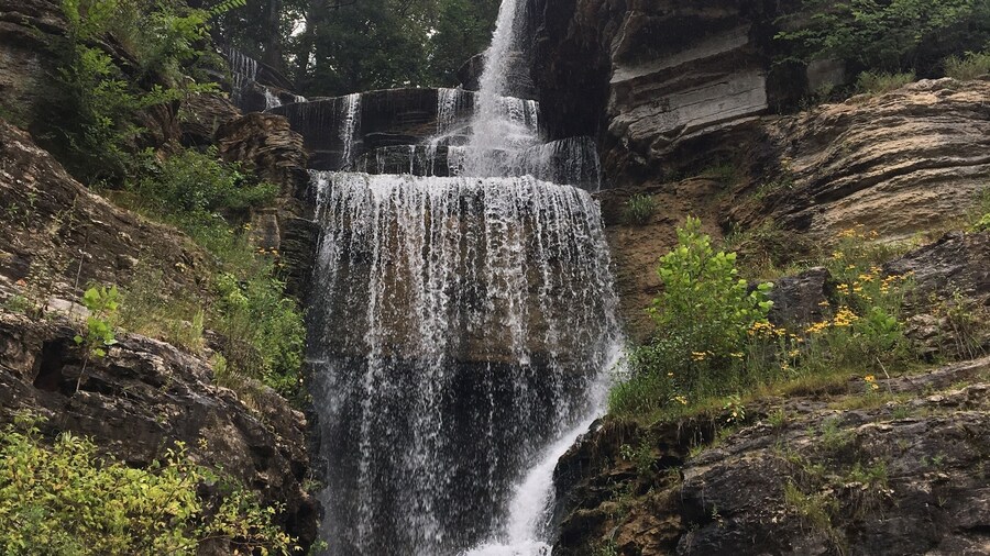 #LifeatExpedia
Anniversary weekend at Dogwood Canyon beautiful scenery and great hiking!