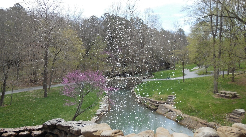 Dogwood Canyon Nature Park, Missouri--April 2014