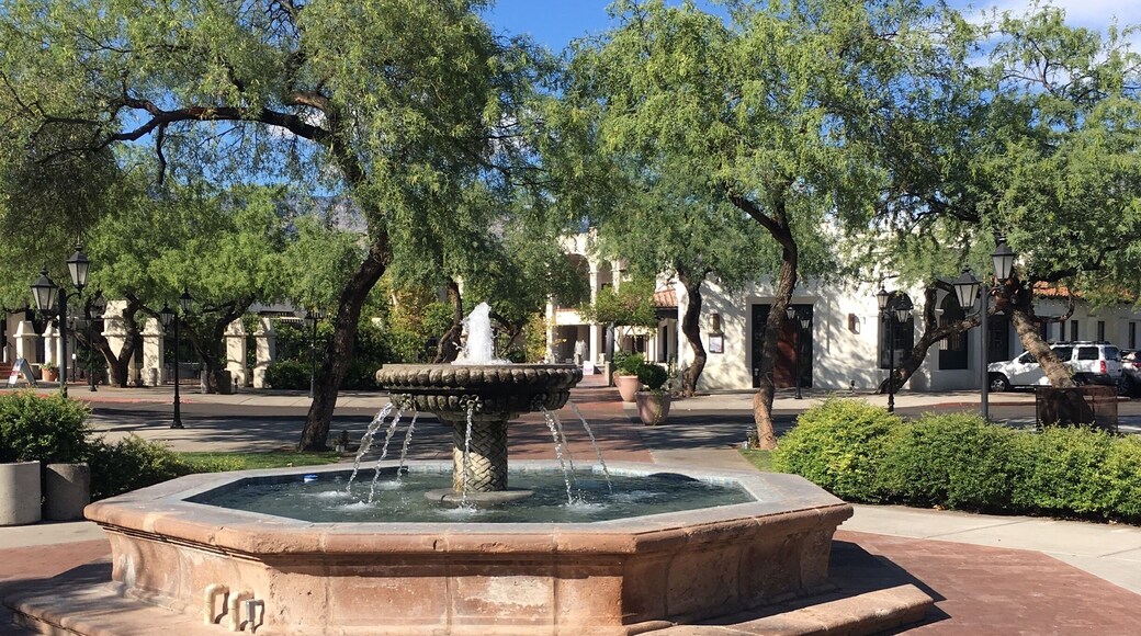 The sun after the rain!