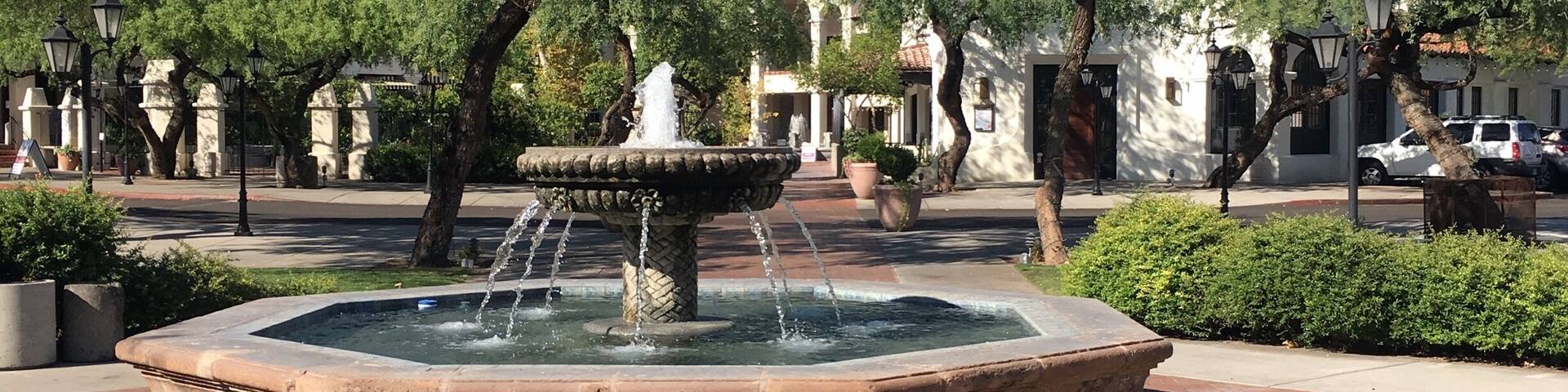 The sun after the rain!