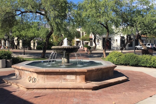 The sun after the rain!