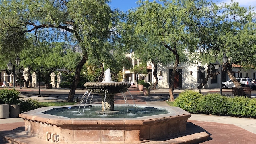 The sun after the rain!