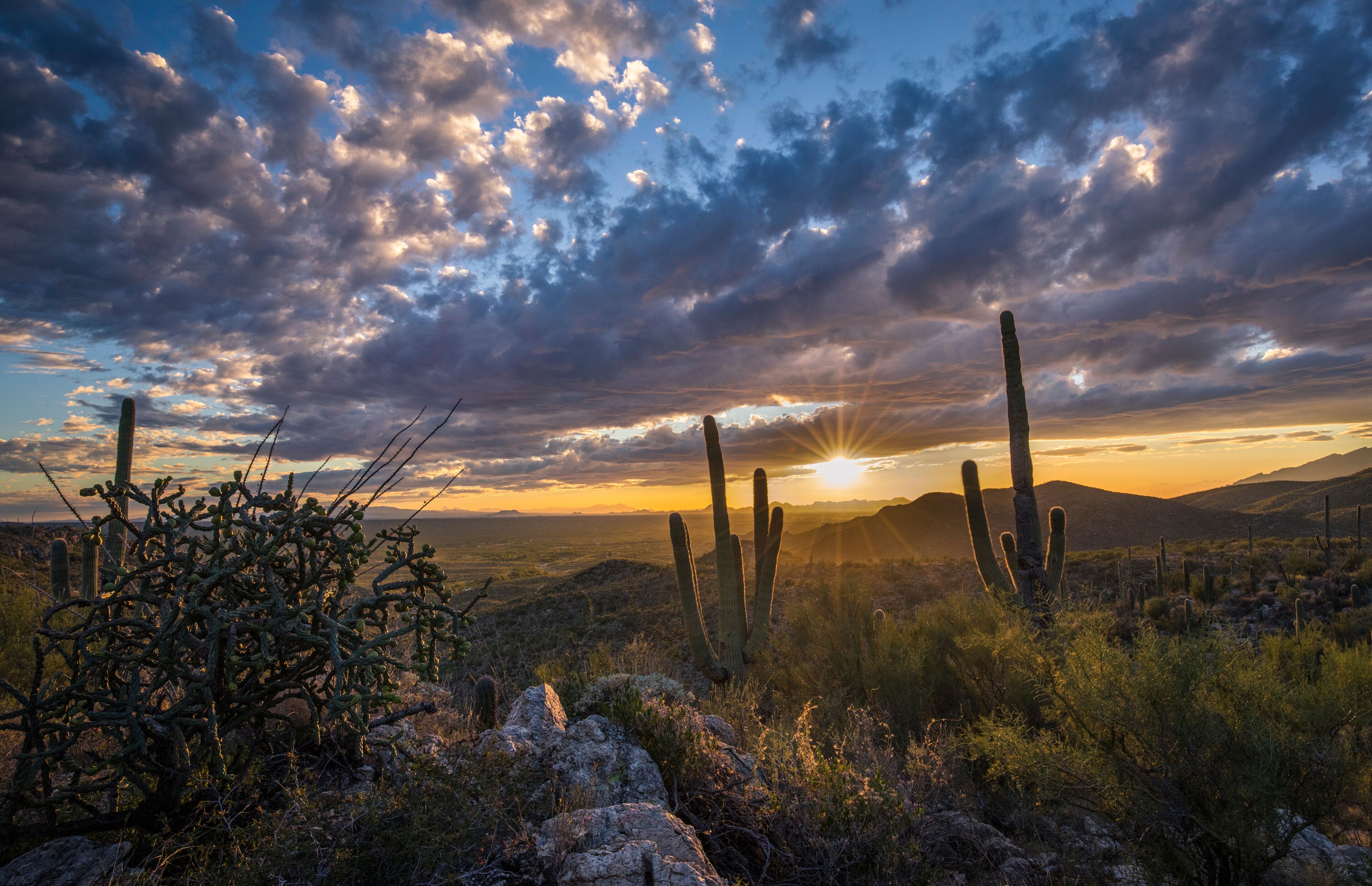Sunset in the Sonoran Desert of Arizona
