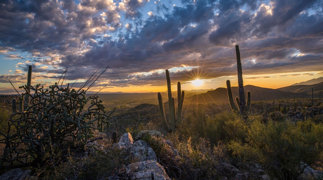 Air Terjun Tanque Verde