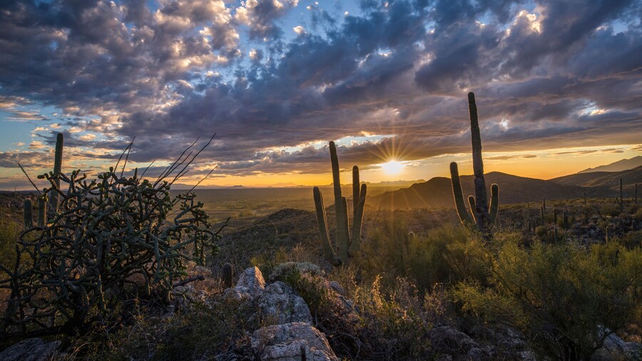Sunset in the Sonoran Desert of Arizona
