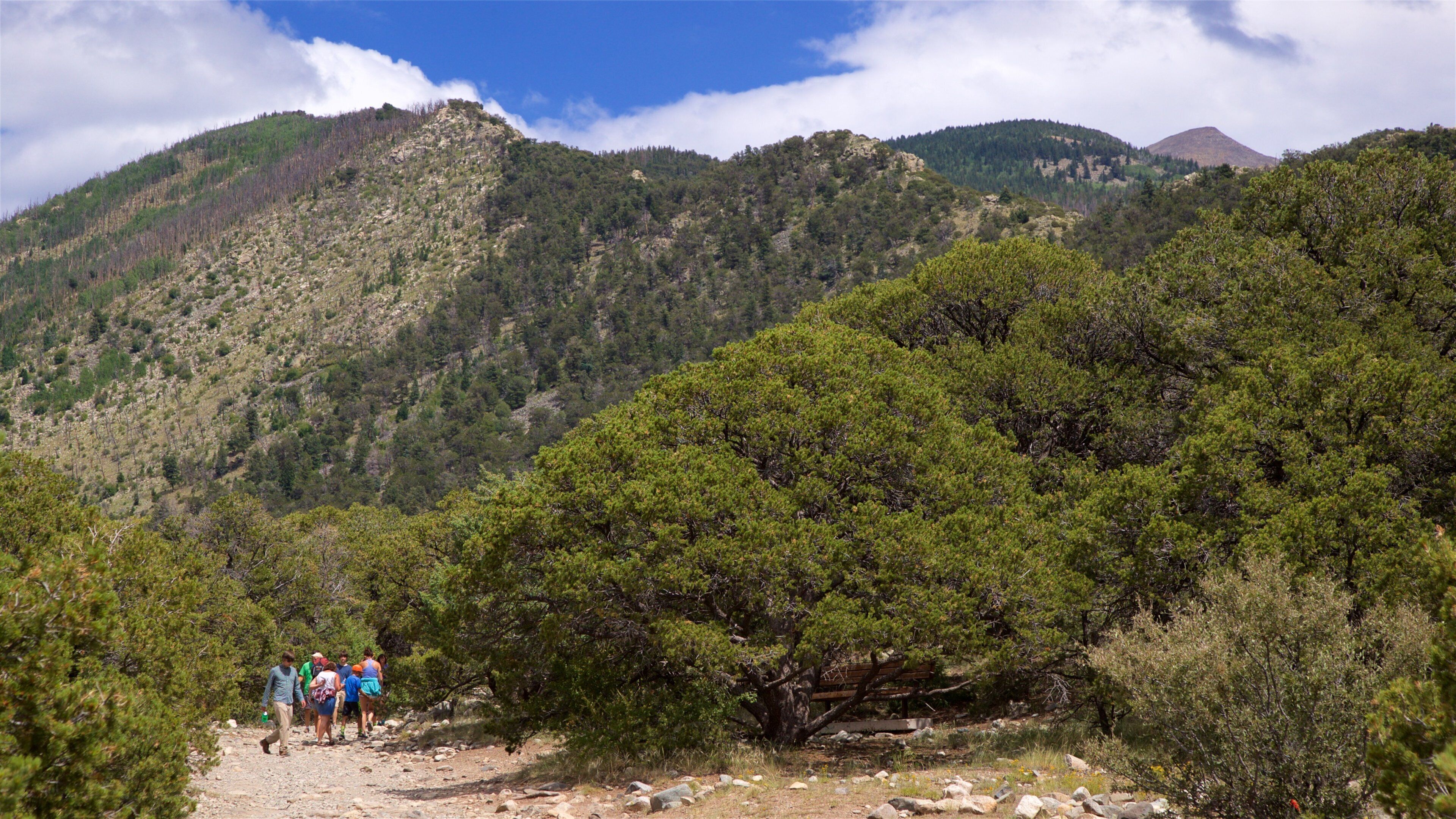 Zapata Falls which includes hiking or walking and tranquil scenes as well as a small group of people