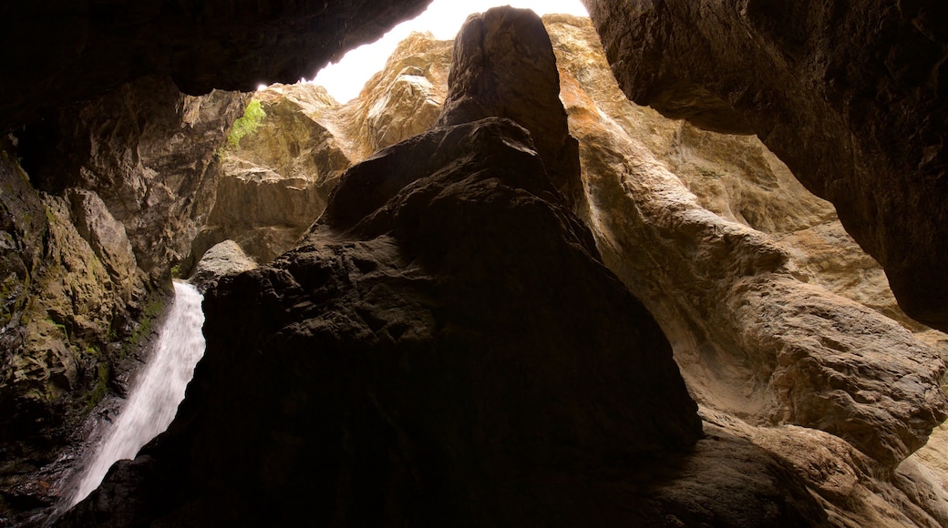 Zapata Falls which includes a gorge or canyon
