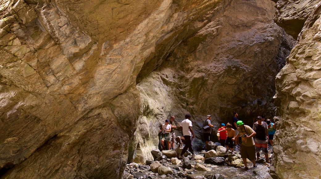 Zapata Falls which includes a gorge or canyon as well as a small group of people