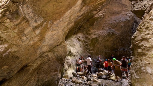 Zapata Falls showing a gorge or canyon as well as a small group of people