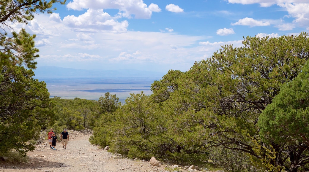 Zapata Falls featuring tranquil scenes as well as a family