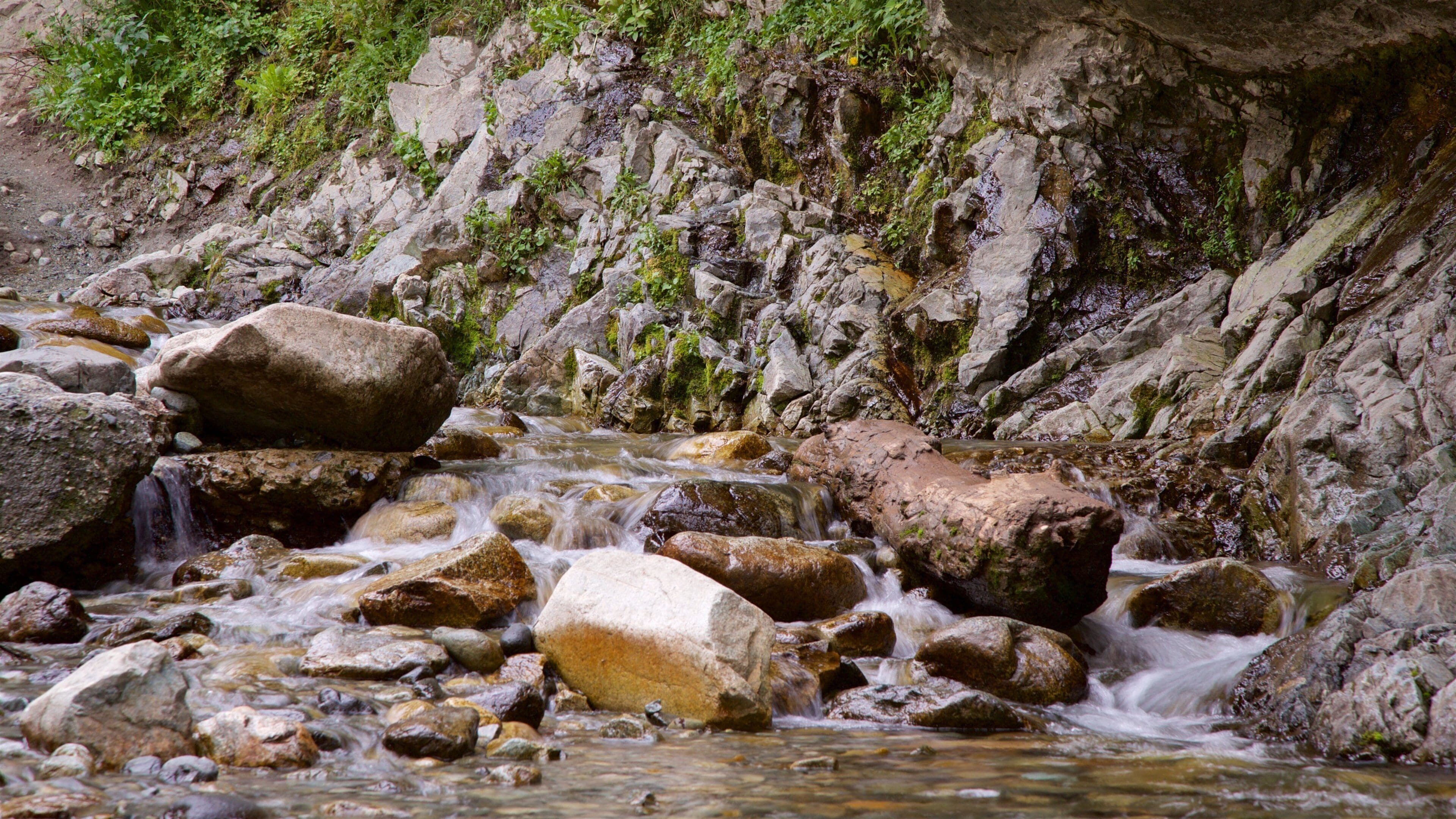 Zapata Falls which includes a river or creek