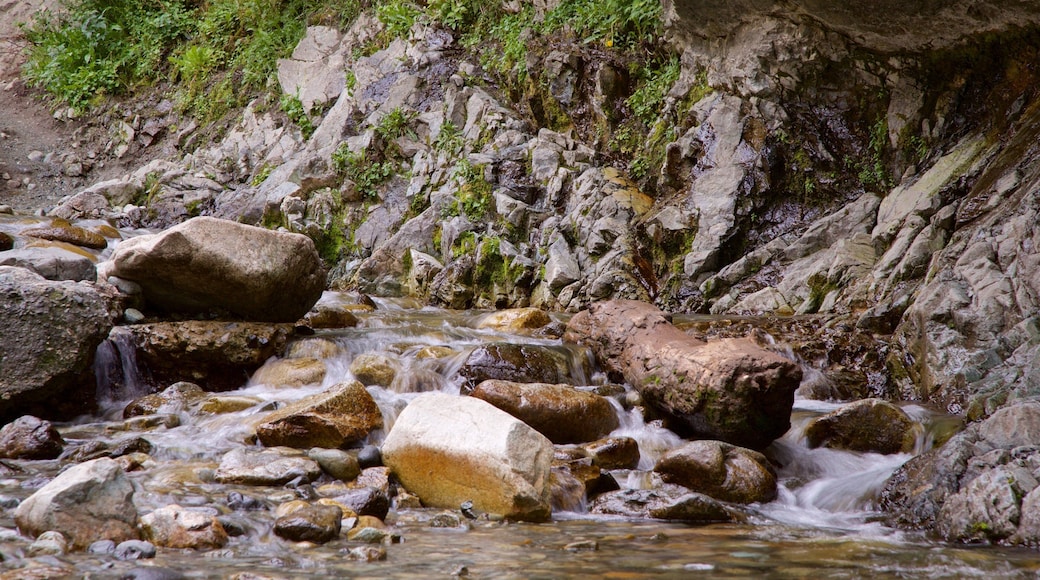 Zapata Falls showing a river or creek