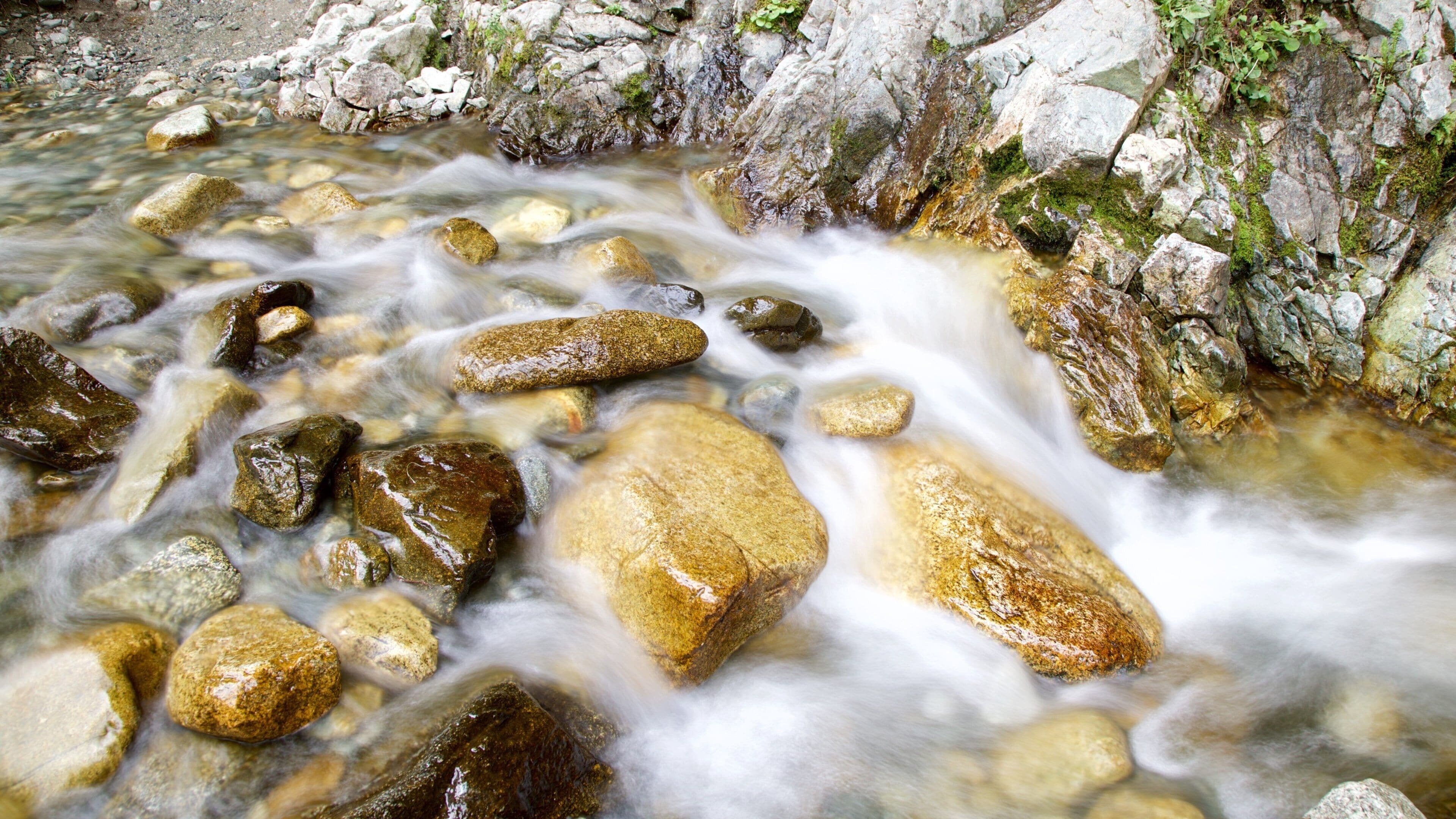 <h2>Los mejores lugares para hospedarse cerca del agua</h2> 