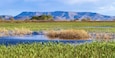 The beautiful marsh in Alamosa National Wildlife Refuge at the edge of the Sangre de Cristo range of the Rocky Mountains in southern Colorado