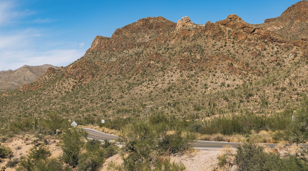 Un paysage désertique avec une route sinueuse, une végétation clairsemée et une montagne rocheuse en arrière-plan.