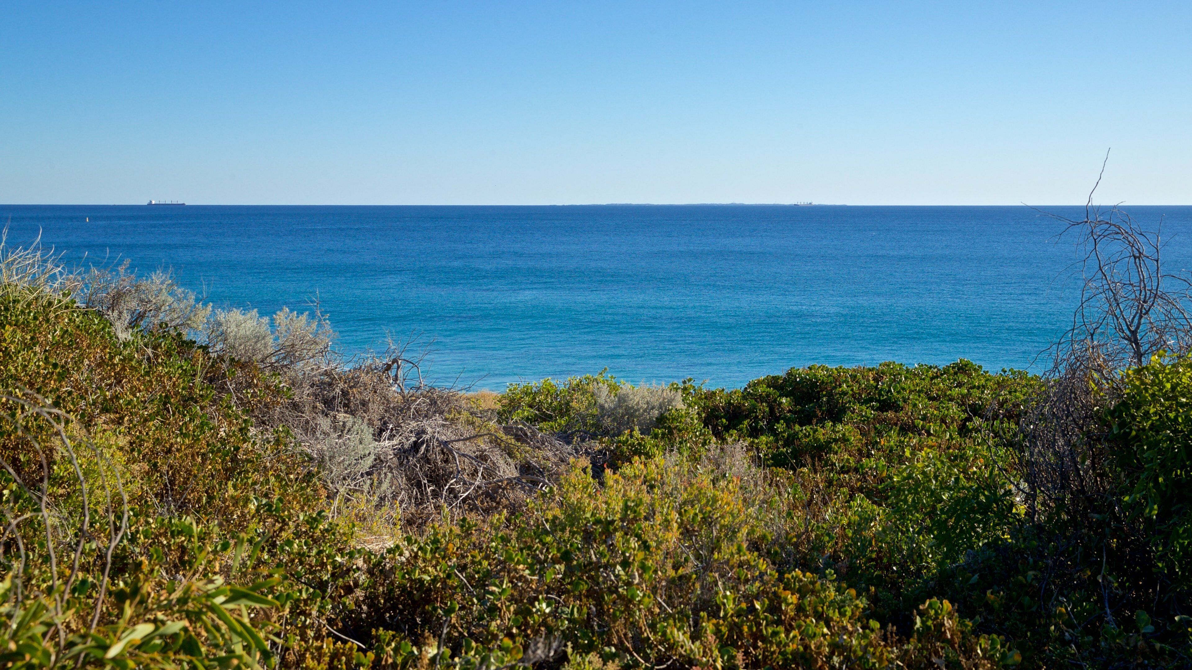 City Beach showing general coastal views